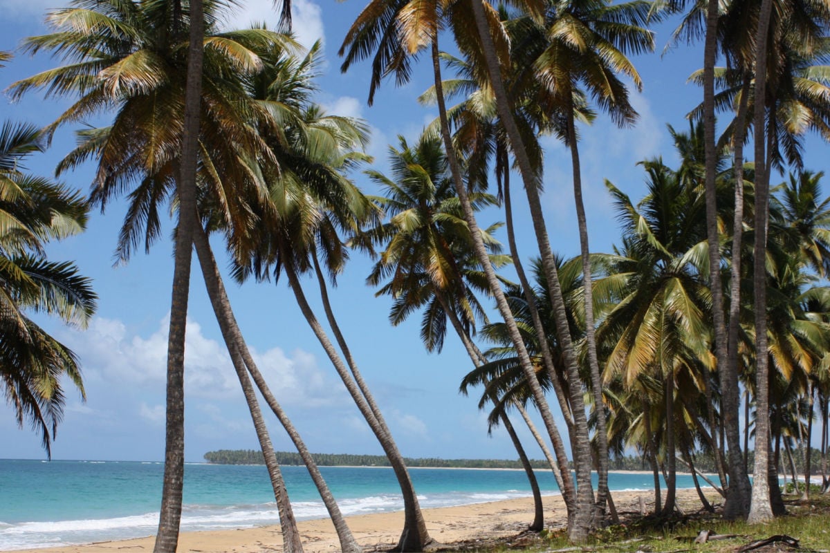 Move Over Punta Cana! Unveiling The Dominican Republic’s Next 3 Vacation Hotspots